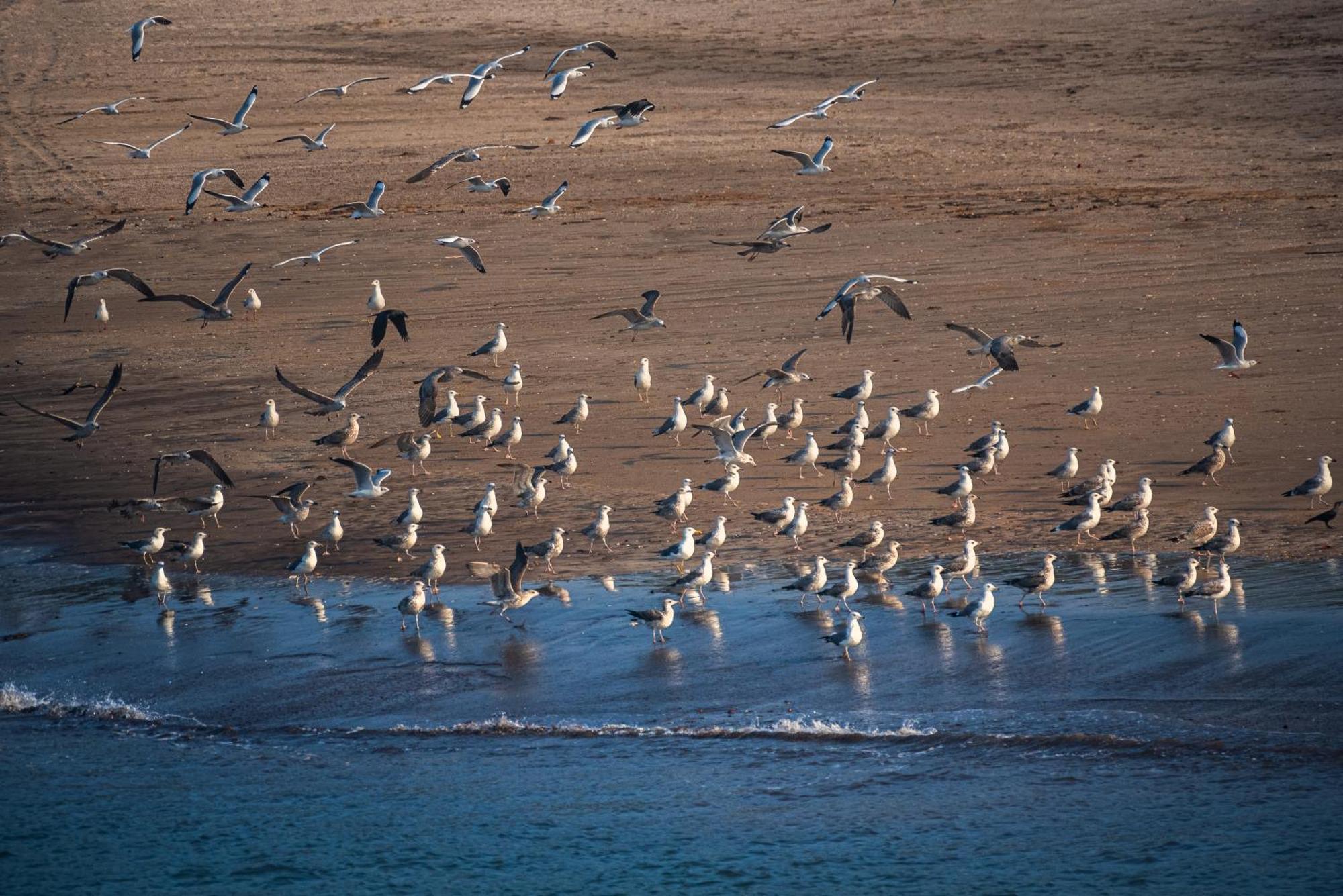 Saffronstays Athaang, Dapoli Anjarle Экстерьер фото